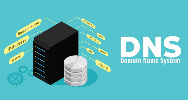 DNS